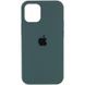 Чехол Silicone Case Full Protective (AA) для Apple iPhone 12 Pro (6.1") Зеленый/Cactus 38660 фото