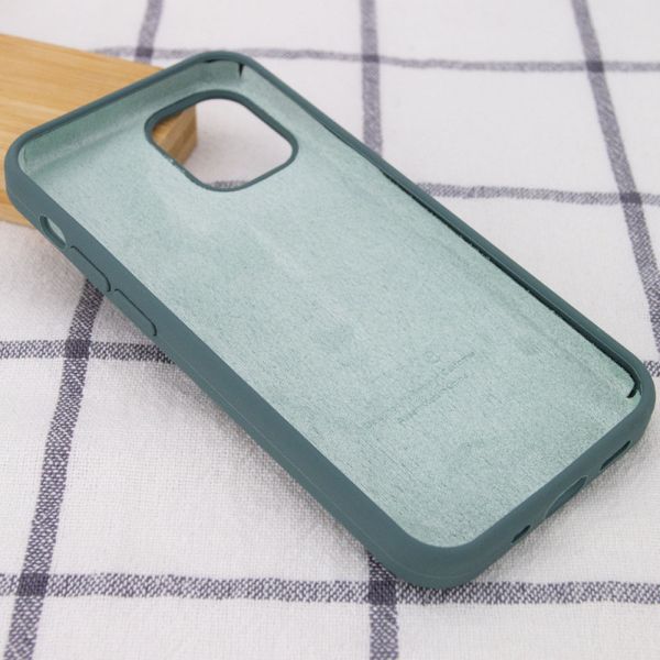 Чехол Silicone Case Full Protective (AA) для Apple iPhone 12 Pro Max (6.7") Зеленый/Cactus 38663 фото