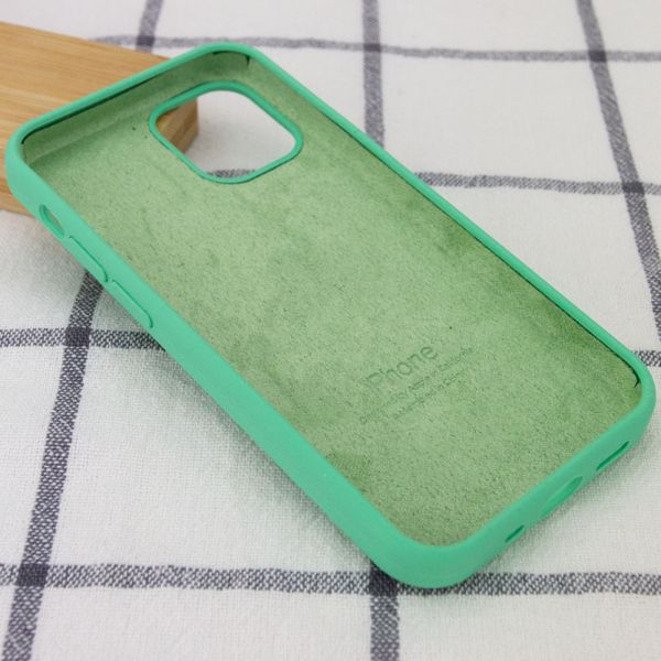 Чохол Silicone Case Full Protective (AA) для Apple iPhone 12 Pro Max (6.7") Зелений/Spearmint 38663 фото